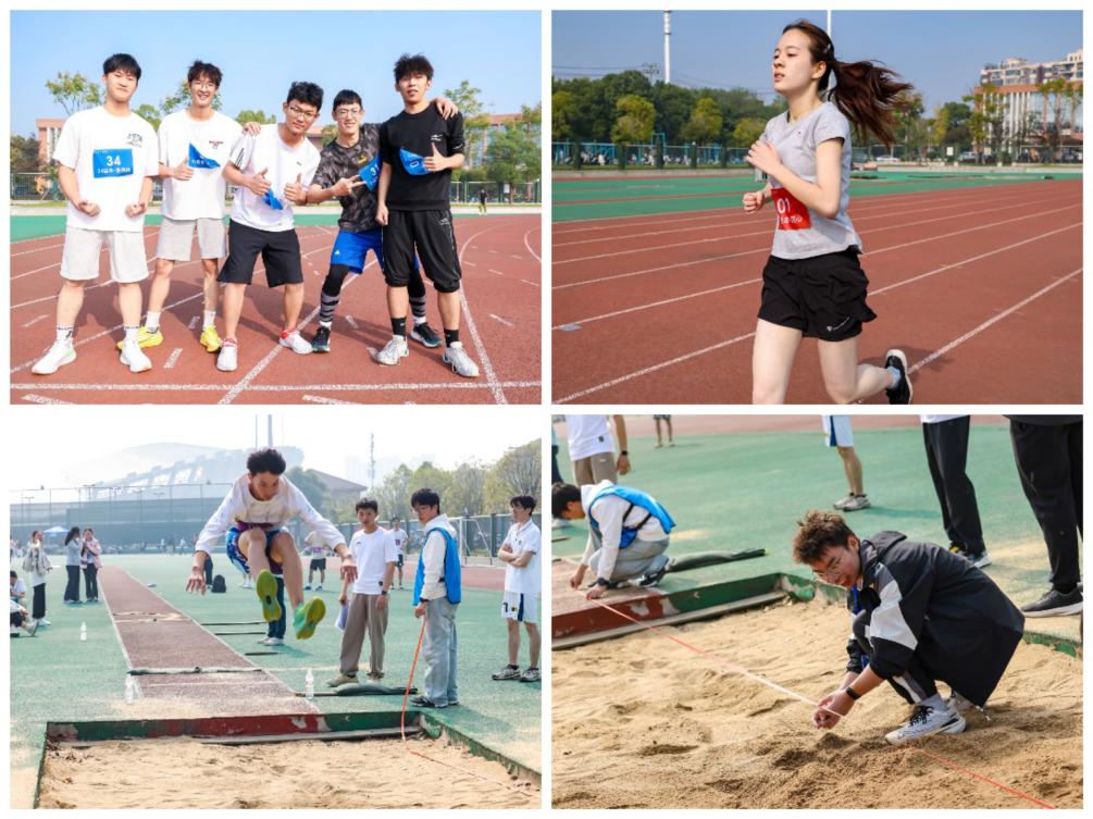 Collage_20241103_123810 Collage_20241103_123810